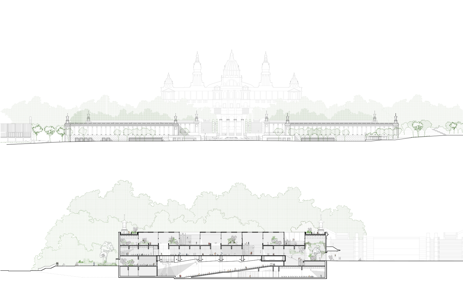 Elevation & Section